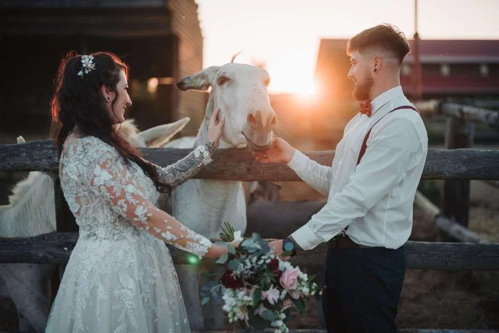 Svatební fotograf - Matěj Liška